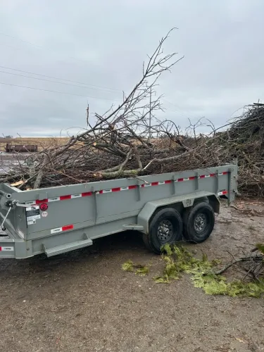Brush cleanup with our 7 x 14 dump trailer