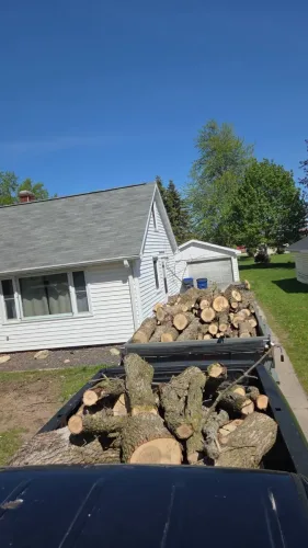 Our 7x14' dump trailer hauling tree logs after cutting a tree down
