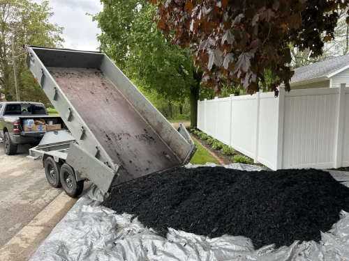 Our 7x14' dump trailer dumping mulch