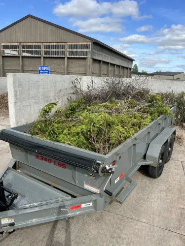 Our 7x14' dump trailer getting rid of brush