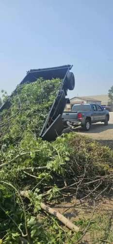 7x14' dump trailer with brush and branches