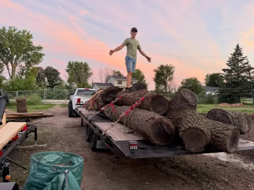 Our 24ft deckover tilt trailer hauling some old rotten trees