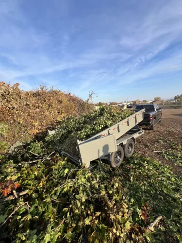 Brush, leaves and branches in our 7x14' dump trailer